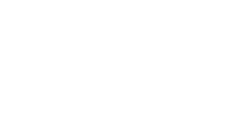 Pallco Levore 2
