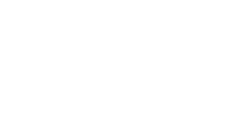 Pallco Satis 2